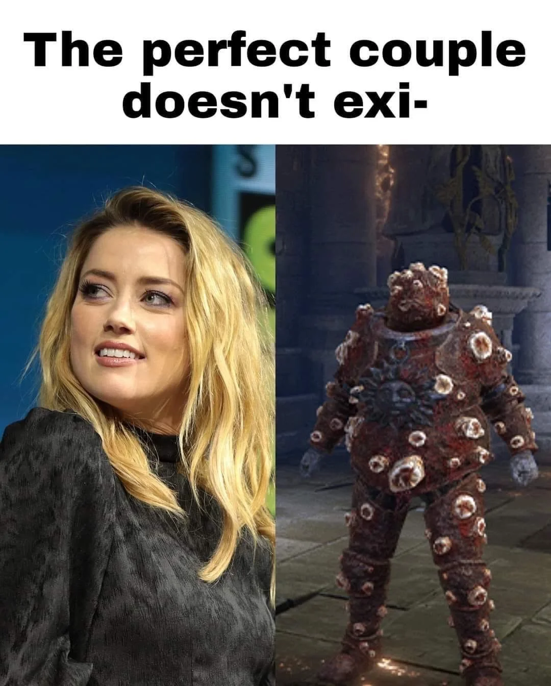 Amber Heard Revenge Poop — Meme captioned 'The perfect couple doesn't exi-' juxtaposing Amber Heard with a boil-covered video game boss.