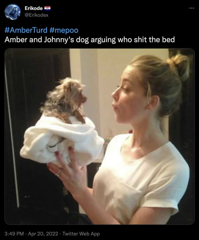 Amber Heard Trial — Twitter meme referencing disputed dog incident with Amber Heard holding small dog and trial hashtags.