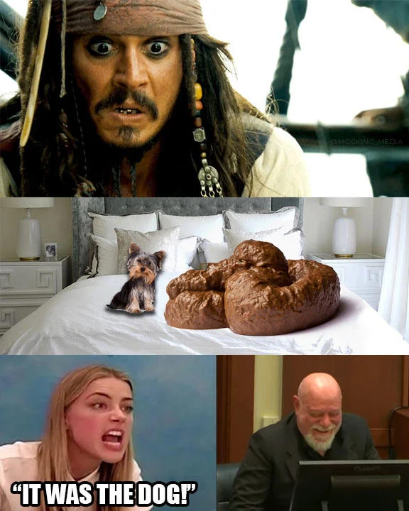 Amber Heard Trial — Collage meme mixing Jack Sparrow, dog on bed, and courtroom footage with 'IT WAS THE DOG' text.