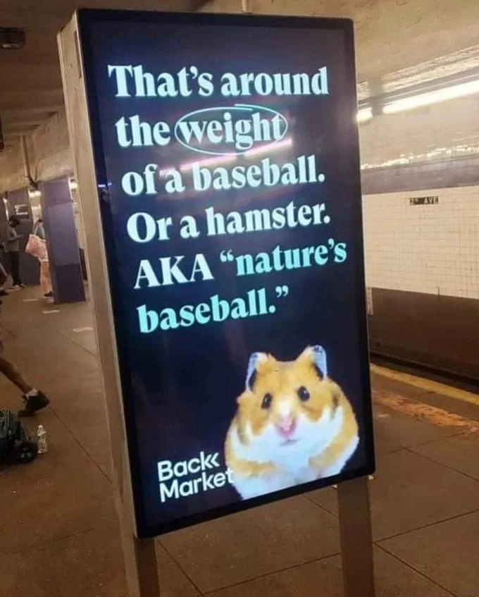Americans Will Use Anything Except The Metric System — Market sign describing item weight as 'baseball weight, hamster weight, aka nature's baseball'.