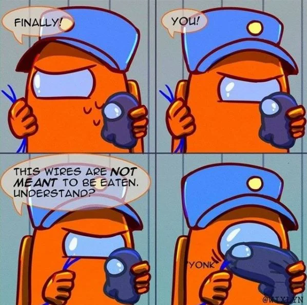 Among Us — Four-panel meme with orange crewmate explaining wires should not be eaten.