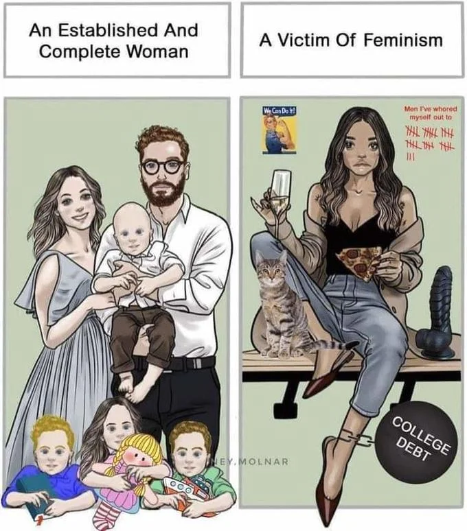 An Established And Complete Woman — Edited meme comic contrasting a traditional family with a childless woman labeled 'A Victim Of Feminism'