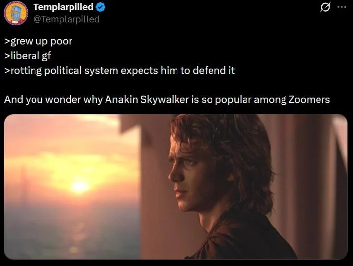 Anakin Skywalker Gen Z Male Rage Memes — Tweet explaining why Anakin Skywalker resonates with Zoomer men, over an image of Anakin at sunset.