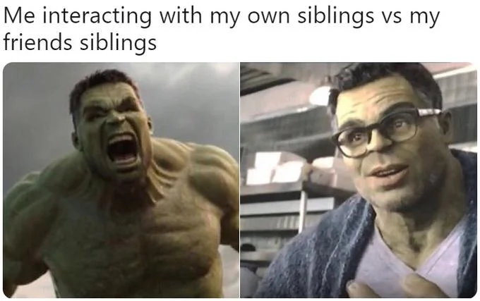 Angry Hulk Vs Civil Hulk — Meme using aggressive Hulk versus composed Hulk template with text overlay.