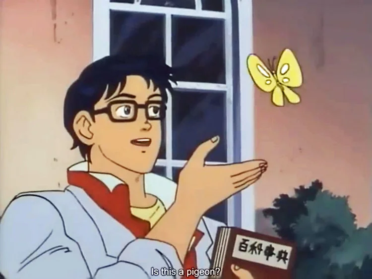 Anime Butterfly Meme — Anime character with glasses pointing inquiringly at a yellow butterfly.