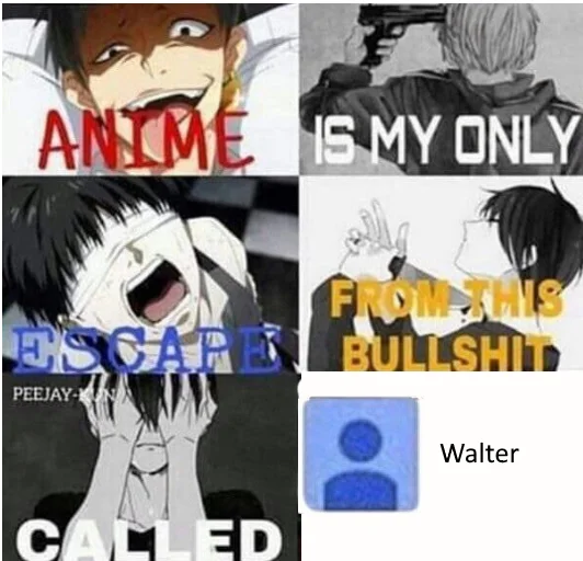 Anime Is My Escape From This Bullshit Called Reality — Modified escapism meme with Attack on Titan scenes and 'Walter' text integration.