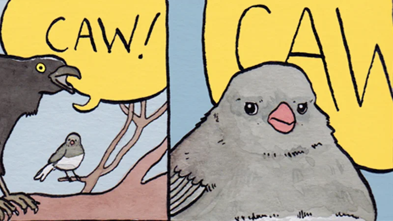 Annoyed Bird — Two-panel comic banner of a crow yelling CAW at a small junco who then appears annoyed