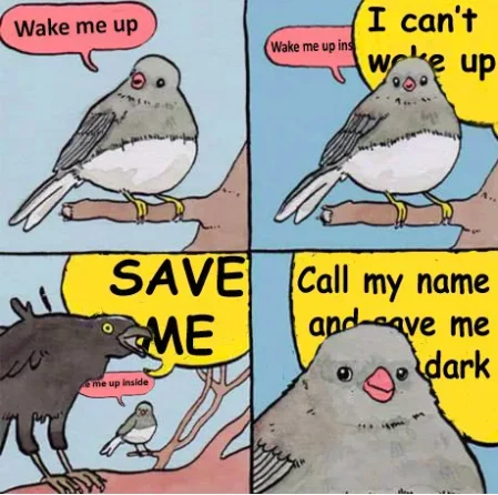 Annoyed Bird meme edit featuring Bring Me to Life lyrics