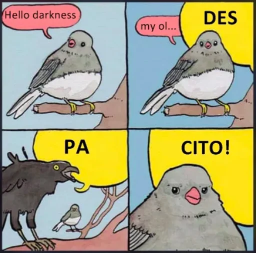 Annoyed Bird meme edited with Despacito and Hello Darkness lyrics