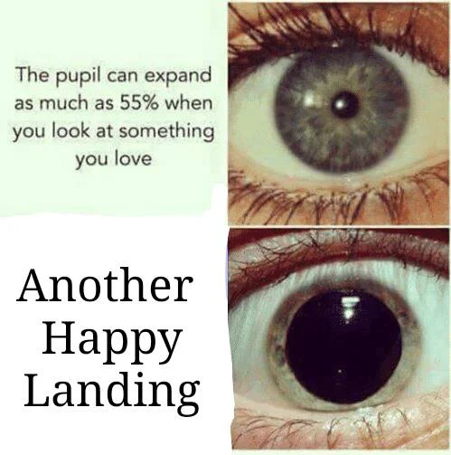 Pupil dilation fact with two eye photos captioned 'Another Happy Landing'