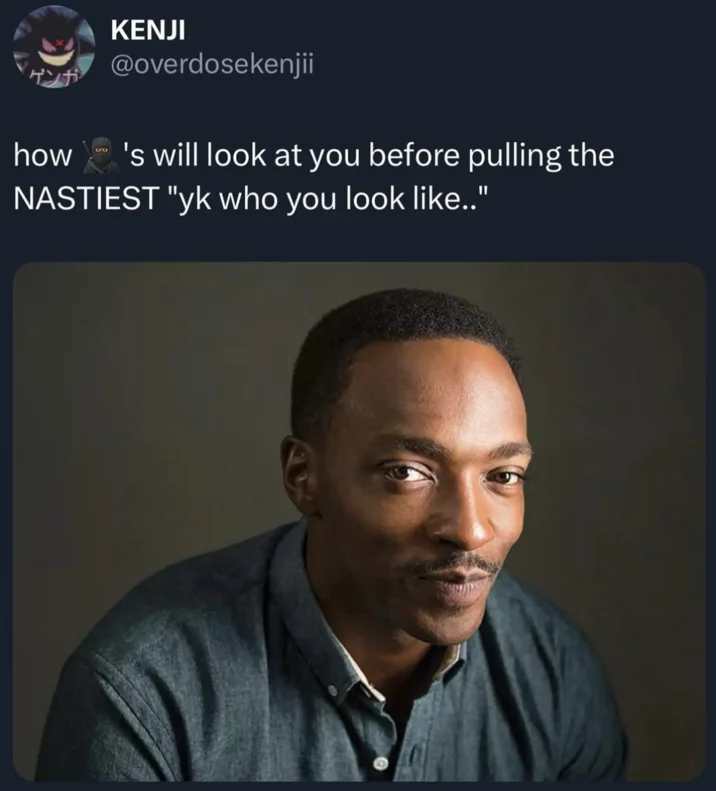 Anthony Mackie's Smirk — Tweet with the Anthony Mackie smirk portrait captioned about the look before someone makes a nasty 'you know who you look like'