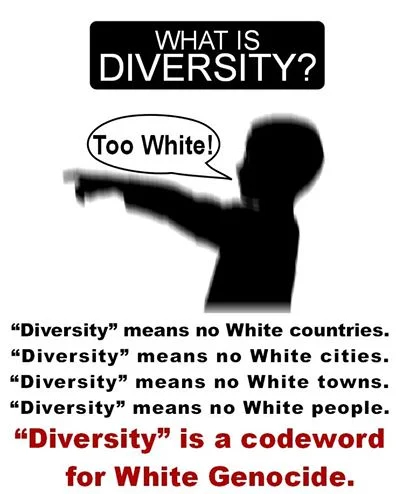 Anti-Racist Is Code for Anti-White — Graphic claiming 'Diversity' is a codeword for 'White Genocide' with a shouting silhouette