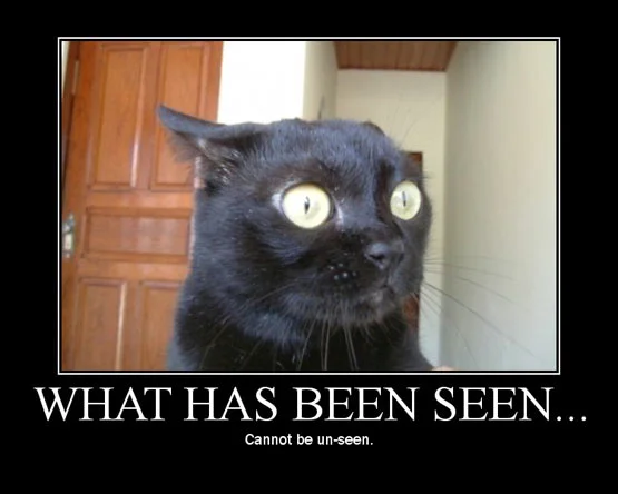 Anxiety Cat
