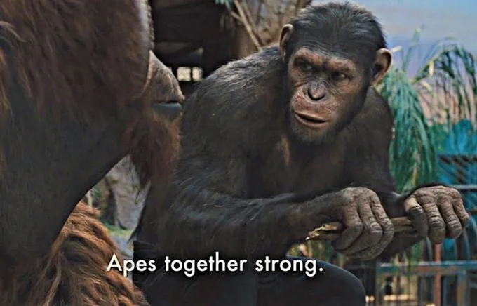 Apes Together Strong — Minimal clean version of Planet of the Apes scene with catchphrase.