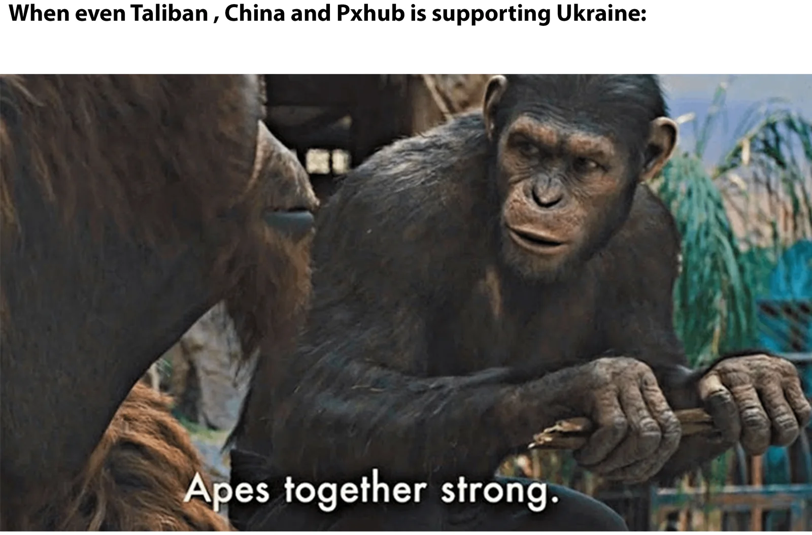 Geopolitical humor applying Apes Together Strong to unexpected alliances.