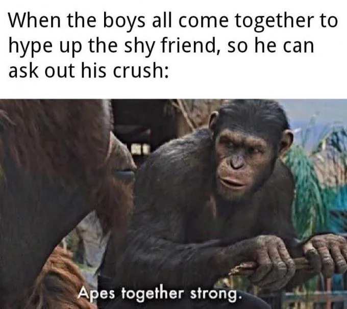 Apes Together Strong meme format applied to social situations.