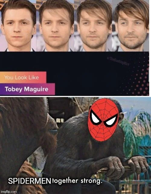 Apes Together Strong — Marvel Spider-Man fandom multiverse unity with aging progression.