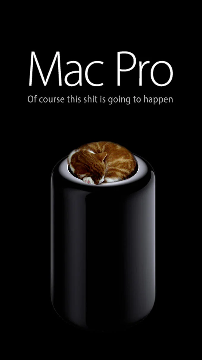 Apple — Cat sleeping inside a Mac Pro cylinder with caption 'Of course this shit is going to happen'
