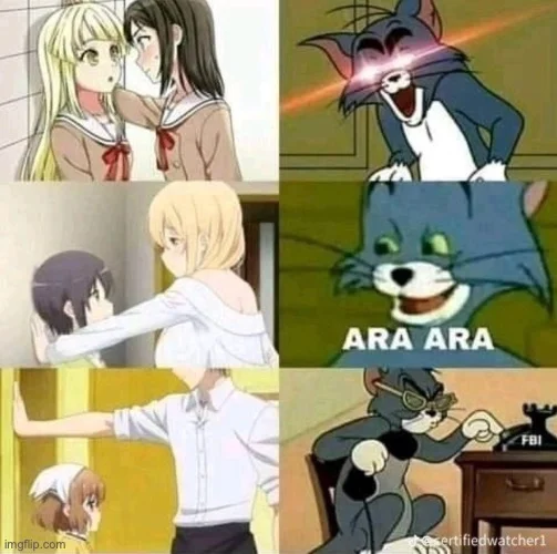Four-panel anime meme with older-sister characters interacting with younger characters, culminating in cat reaction with 'ARA ARA' phrase.