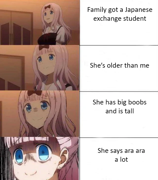 Ara Ara — Anime illustration of older-sister character archetypes interacting with younger male on transit.
