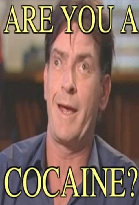 Are You A Wizard — Wide-eyed Charlie Sheen with caption ARE YOU A COCAINE