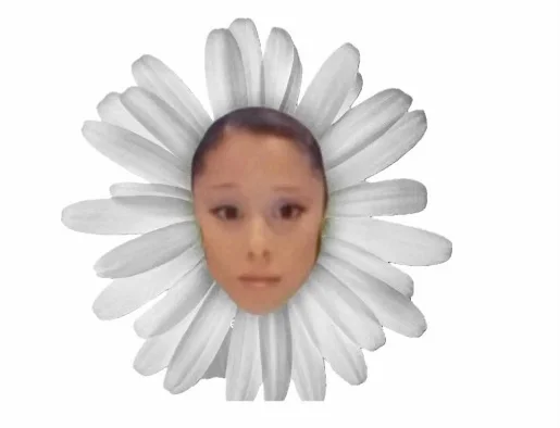 Ariana Grande Petal