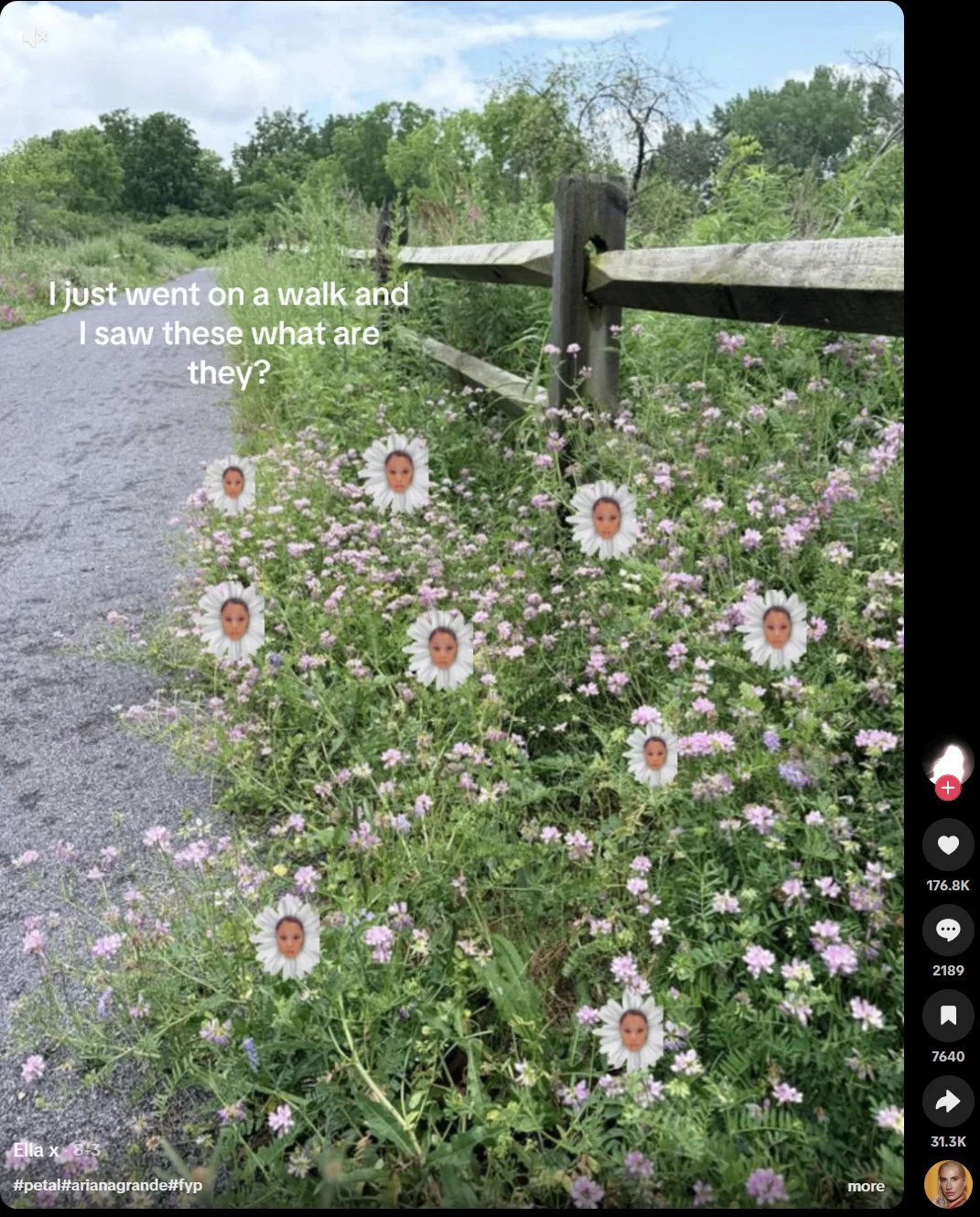 Ariana Grande Petal