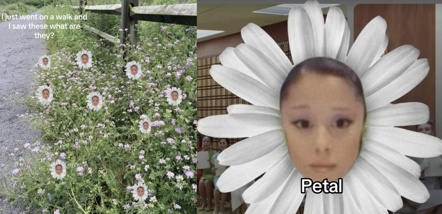 What is Ariana Grande Petal