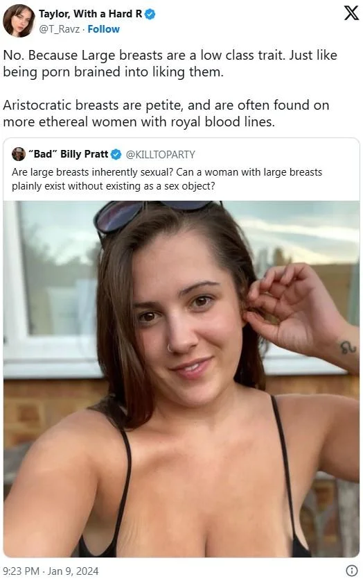 The earliest known example of the "Aristocratic Elegance of the Small Breasted Woman" catchphrase posted to Twitter by user T_Ravz in early January 2024.