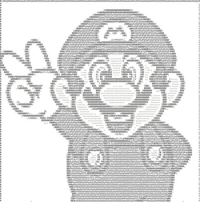 ASCII Art — Meme about making ASCII memes with dense character composition.