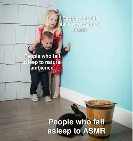 ASMR Memes — Children against wall labeled with different sleep methods including calming music, natural ambience, and ASMR