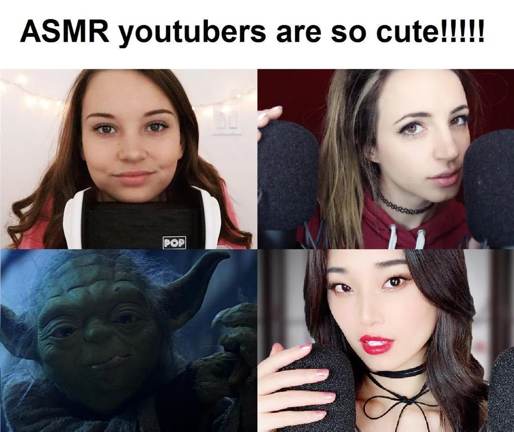 ASMR Memes — ASMR YouTubers attractiveness comparison meme with human creators and humorous creature element