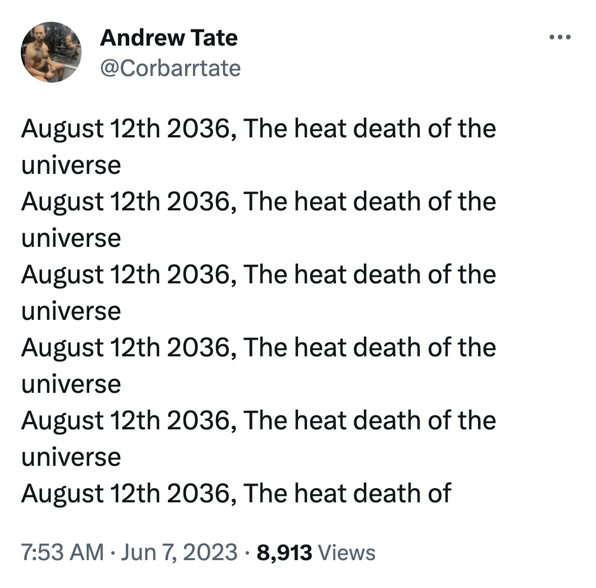 August 12 2036, The Heat Death Of The Universe — Fake Andrew Tate tweet repeating 'August 12th 2036, The heat death of the universe' multiple times.