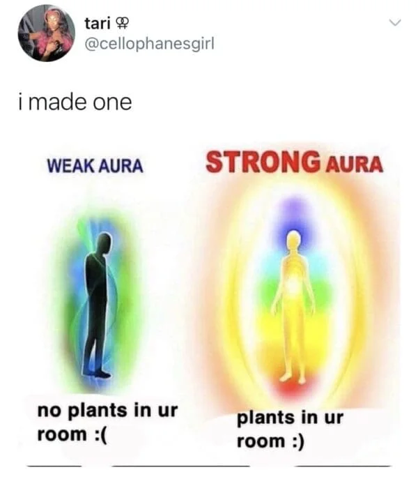 Aura Points — Visual comparison of weak aura with dim blue glow versus strong aura with bright multicolored glow and plants.