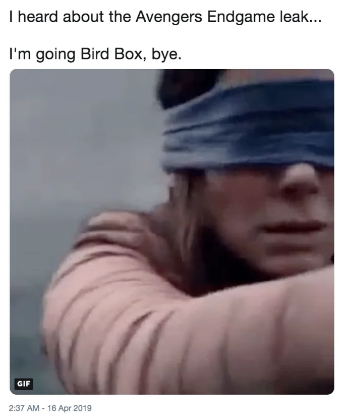 Avengers Endgame — Tweet joking about avoiding Endgame spoilers by going Bird Box, with blindfolded Sandra Bullock image
