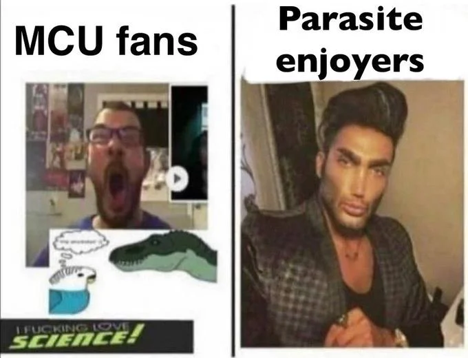 Average Fan vs Average Enjoyer — Sex havers vs grand strategy game connoisseurs meme comparing emotional person with calm composed man