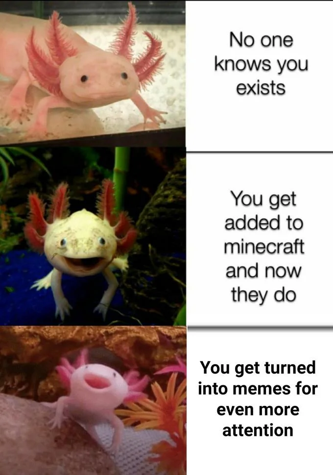 Three-panel axolotl meme about rising fame after being added to Minecraft and becoming a meme