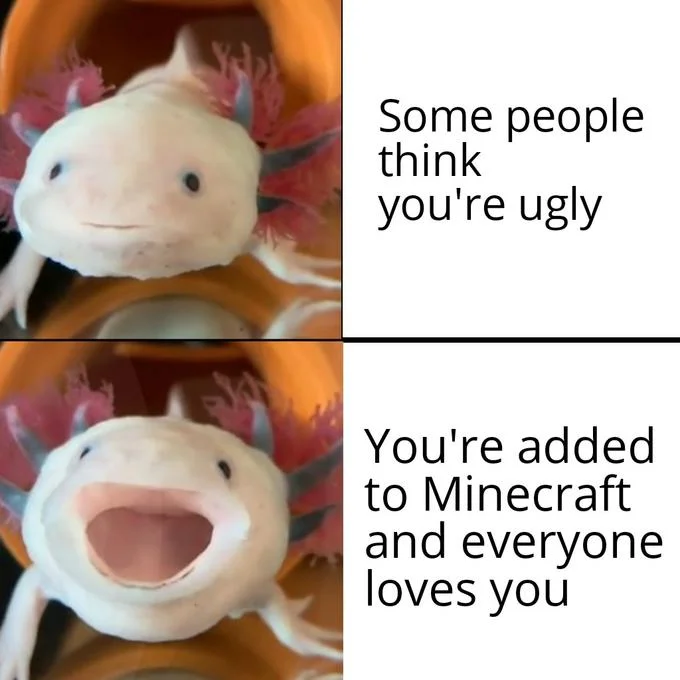 Two-panel axolotl meme contrasting being called ugly with becoming beloved after Minecraft inclusion