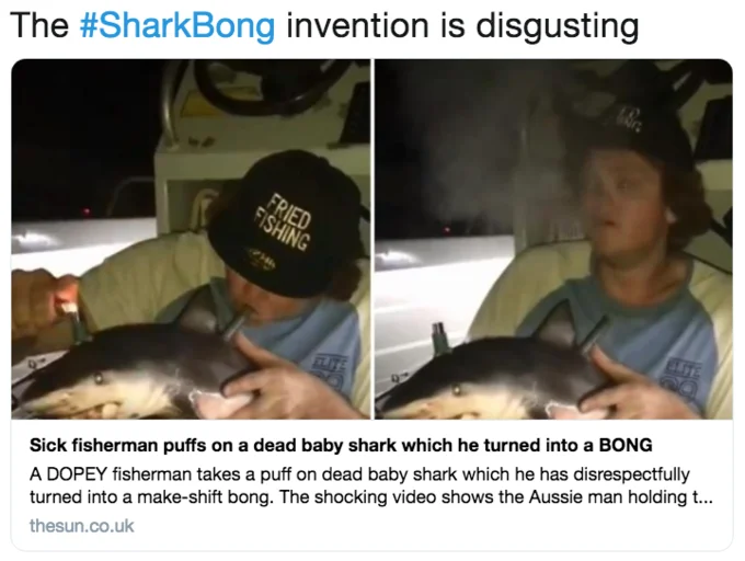 Baby Shark Bong — Tweet linking to The Sun news article about the disgusting SharkBong invention