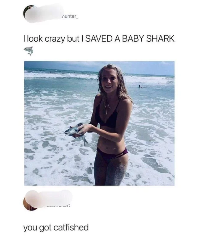 Social media post about saving baby shark with woman holding shark, reply 'you got catfished'.