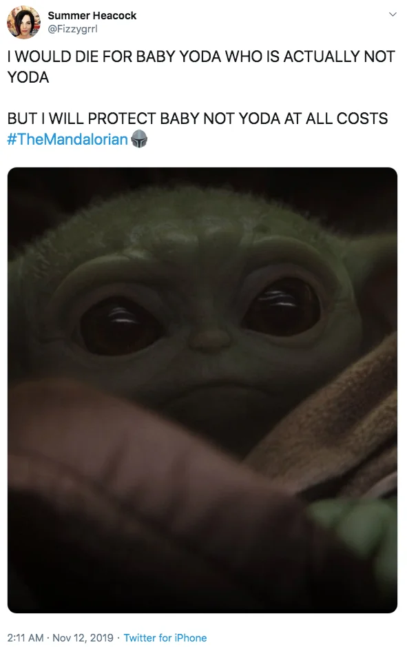 Baby Yoda / Grogu — Protective tweet 'I WILL PROTECT BABY NOT YODA AT ALL COSTS' with closeup face.