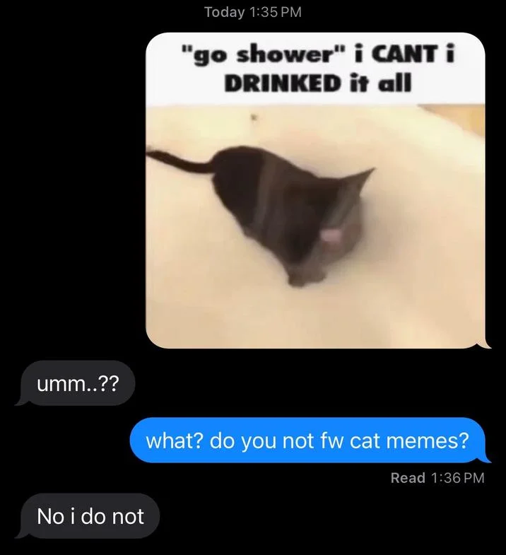 Bad Bitch Said She Don't Fw Skibidi Toilet — Text conversation about cat memes with 'No i do not' reply