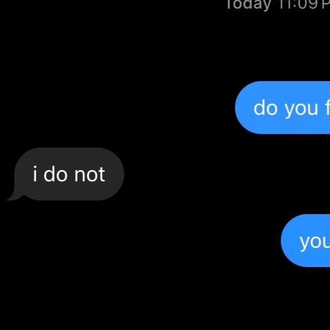 Bad Bitch Said She Don't Fw Skibidi Toilet — Cropped screenshot of iMessage conversation showing 'i do not' reply