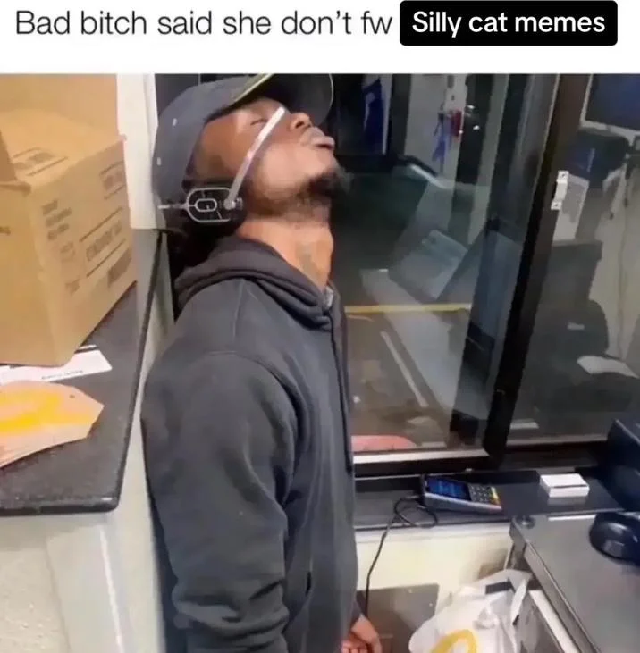 Bad Bitch Said She Don't Fw Skibidi Toilet — McDonald's meme variant with 'Silly cat memes' replacing skibidi toilet