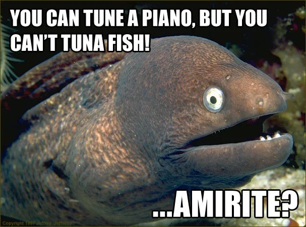 Bad Joke Eel meme with the pun 'You can tune a piano, but you can't tuna fish! ...amirite?'