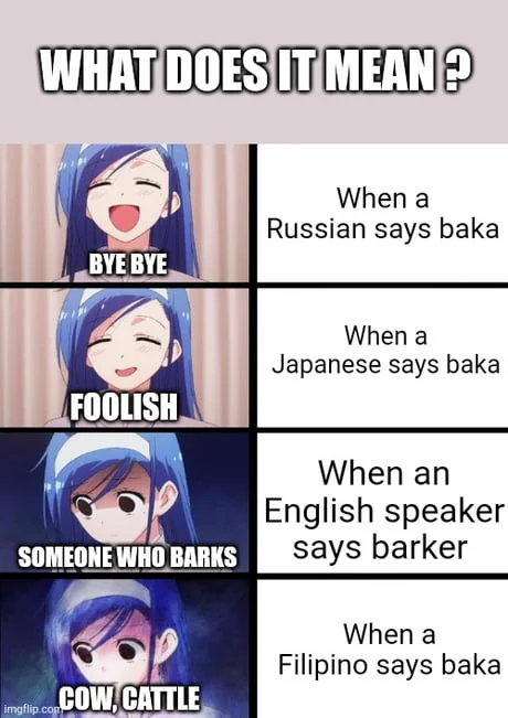 Four-panel meme with anime girl showing different interpretations of 'baka' across languages and speakers