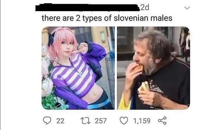 Balkan Memes — Twitter post joking that Slovenian men are either femboys or Slavoj Zizek