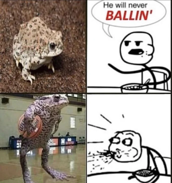 Collage with frogs and 'He will never BALLIN'' meme format