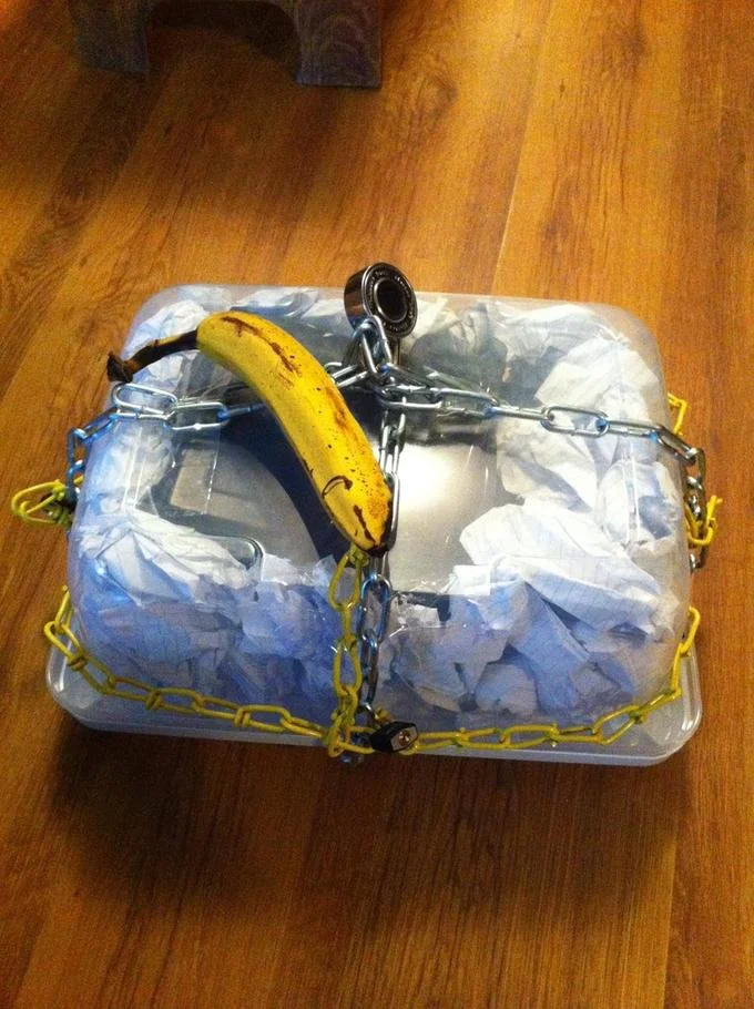 Banana For Scale — Plastic storage box wrapped in chains and locks with a banana on top for scale