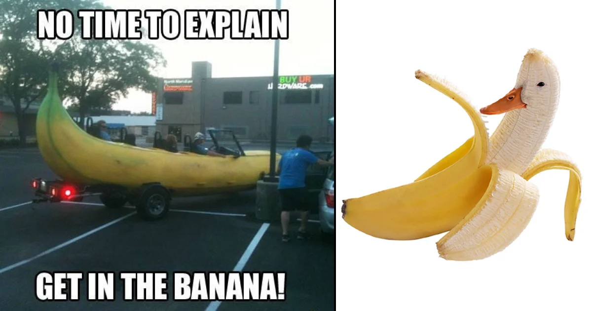 The 'Get in the Banana' meme featuring a massive banana-shaped vehicle with impact font text reading 'NO TIME TO EXPLAIN / GET IN THE BANANA!' and an